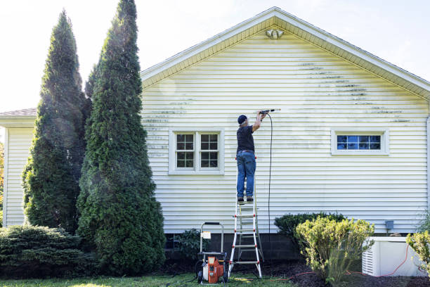 Best Roof Power Washing Services  in Oakhurst, CA